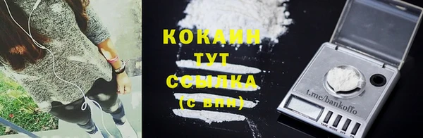 PSILOCYBIN Корсаков