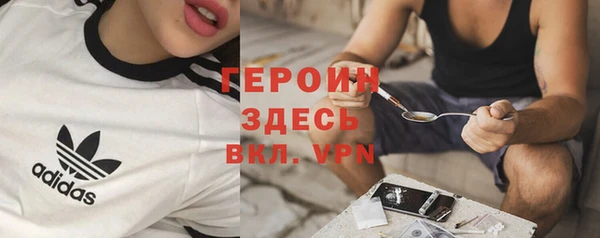 шишки Кодинск