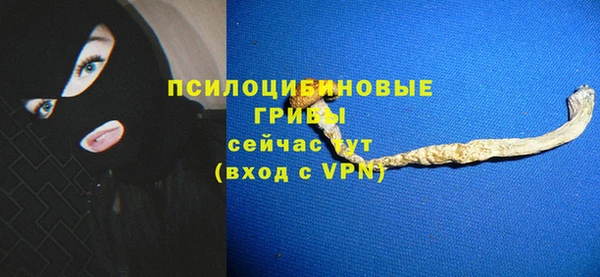 мдпв Козельск