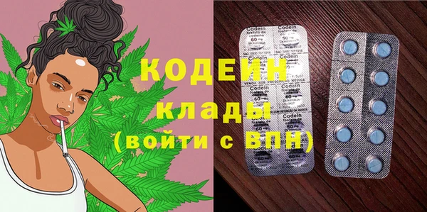 шишки Кодинск
