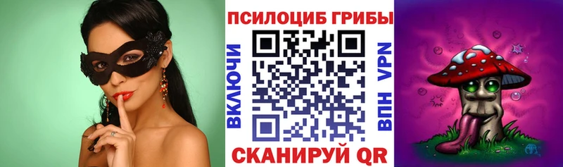 Псилоцибиновые грибы Psilocybine cubensis  Купить закладки  Пустошка 
