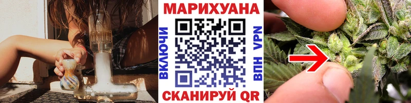 Купить где  Пустошка  Марихуана сатива 